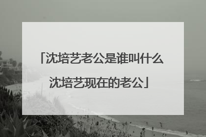 沈培艺老公是谁叫什么 沈培艺现在的老公