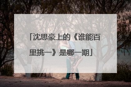 沈思豪上的《谁能百里挑一》是哪一期