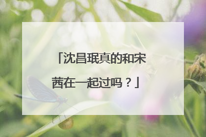 沈昌珉真的和宋茜在一起过吗?