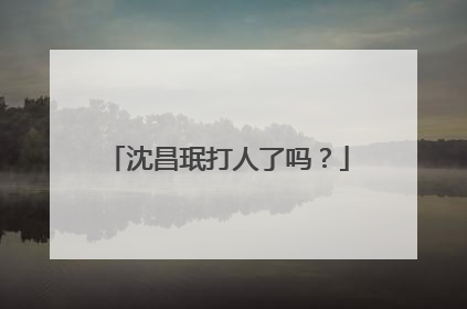 沈昌珉打人了吗?