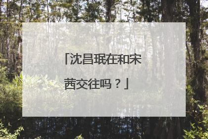 沈昌珉在和宋茜交往吗?