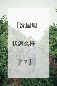 沈星现状怎么样了?