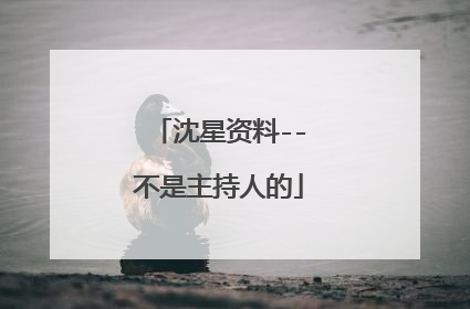 沈星资料--不是主持人的