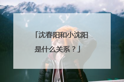沈春阳和小沈阳是什么关系?