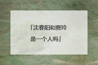 沈春阳和贾玲是一个人吗