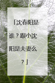 沈春阳是谁?跟小沈阳是夫妻么?