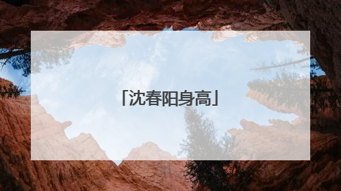 沈春阳身高