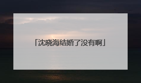 沈晓海结婚了没有啊