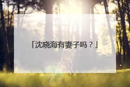 沈晓海有妻子吗？