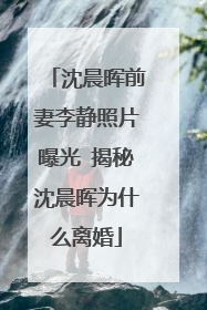 沈晨晖前妻李静照片曝光 揭秘沈晨晖为什么离婚