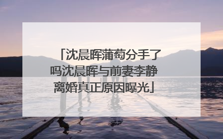 沈晨晖蒲萄分手了吗沈晨晖与前妻李静离婚真正原因曝光
