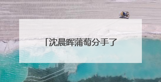 沈晨晖蒲萄分手了吗 沈晨晖与前妻李静离婚真正原因