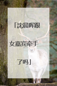 沈晨晖跟女嘉宾牵手了吗