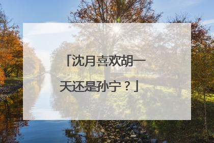 沈月喜欢胡一天还是孙宁?