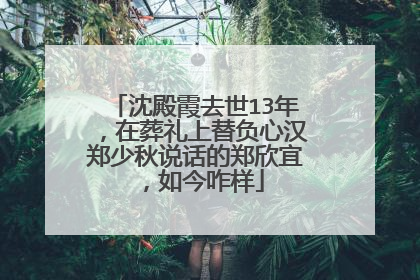 沈殿霞去世13年,在葬礼上替负心汉郑少秋说话的郑欣宜,如今咋样