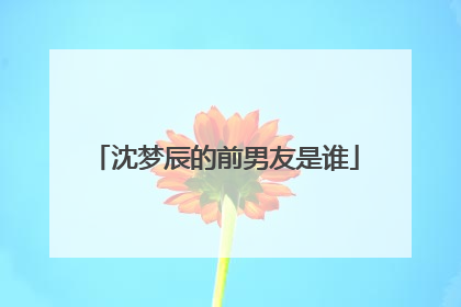 沈梦辰的前男友是谁