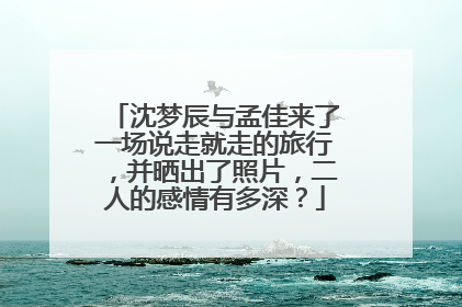 沈梦辰与孟佳来了一场说走就走的旅行，并晒出了照片，二人的感情有多深？