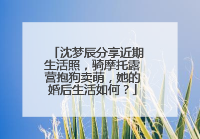 沈梦辰分享近期生活照,骑摩托露营抱狗卖萌,她的婚后生活如何?