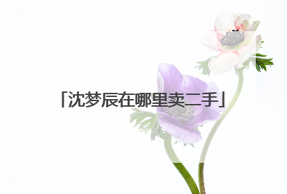 沈梦辰在哪里卖二手