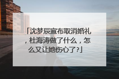 沈梦辰宣布取消婚礼，杜海涛做了什么，怎么又让她伤心了?
