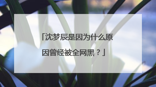 沈梦辰是因为什么原因曾经被全网黑？