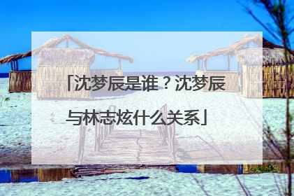 沈梦辰是谁?沈梦辰与林志炫什么关系