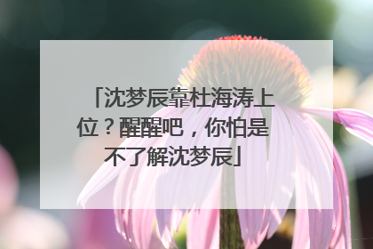 沈梦辰靠杜海涛上位?醒醒吧,你怕是不了解沈梦辰