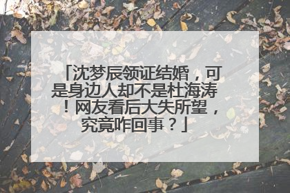 沈梦辰领证结婚，可是身边人却不是杜海涛！网友看后大失所望，究竟咋回事？