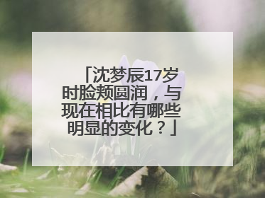 沈梦辰17岁时脸颊圆润，与现在相比有哪些明显的变化？