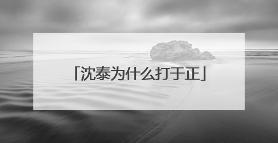 沈泰为什么打于正