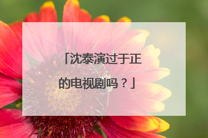 沈泰演过于正的电视剧吗?