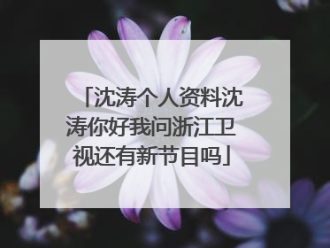 沈涛个人资料沈涛你好我问浙江卫视还有新节目吗