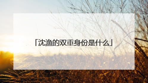 沈渔的双重身份是什么