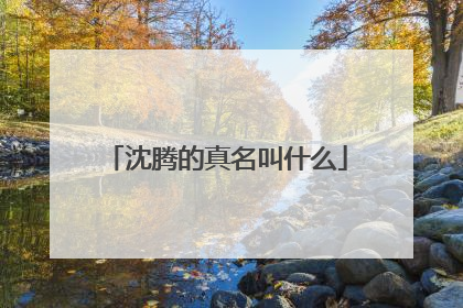 沈腾的真名叫什么