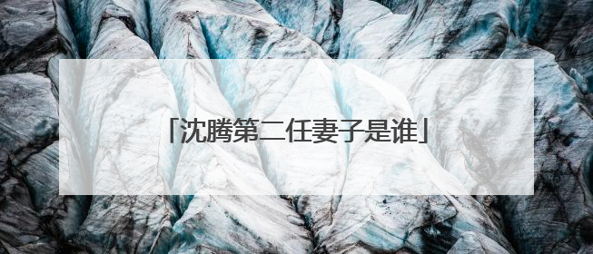 沈腾第二任妻子是谁