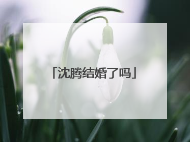 沈腾结婚了吗