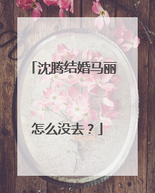 沈腾结婚马丽怎么没去？