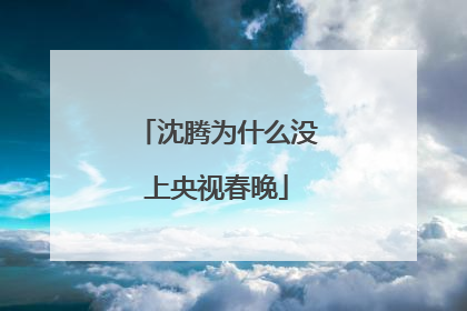 沈腾为什么没上央视春晚