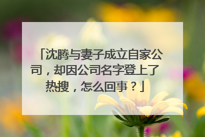 沈腾与妻子成立自家公司，却因公司名字登上了热搜，怎么回事？