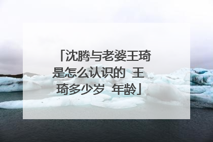 沈腾与老婆王琦是怎么认识的 王琦多少岁 年龄