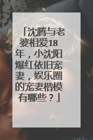 沈腾与老婆相爱18年,小沈阳爆红依旧宠妻,娱乐圈的宠妻楷模有哪些?