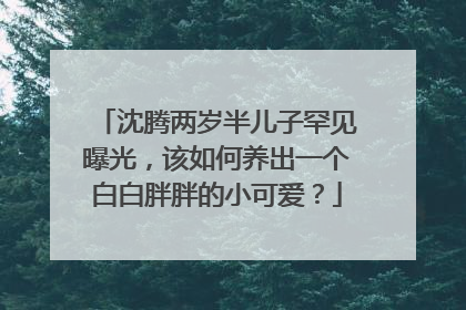 沈腾两岁半儿子罕见曝光,该如何养出一个白白胖胖的小可爱?