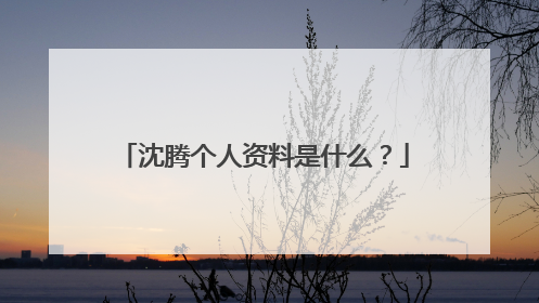 沈腾个人资料是什么？