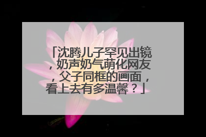 沈腾儿子罕见出镜,奶声奶气萌化网友,父子同框的画面,看上去有多温馨?