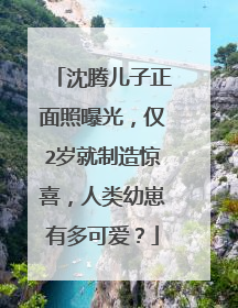 沈腾儿子正面照曝光,仅2岁就制造惊喜,人类幼崽有多可爱?