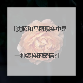 沈腾和马丽现实中是一种怎样的感情?