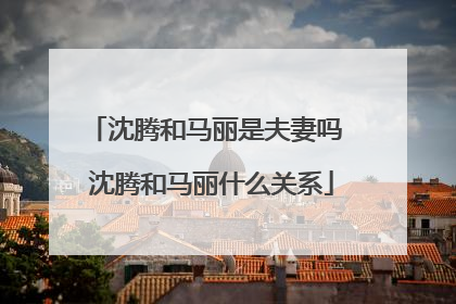 沈腾和马丽是夫妻吗 沈腾和马丽什么关系