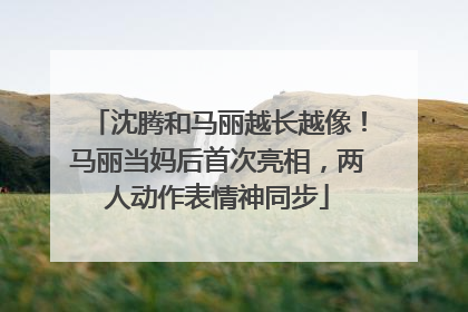 沈腾和马丽越长越像！马丽当妈后首次亮相，两人动作表情神同步