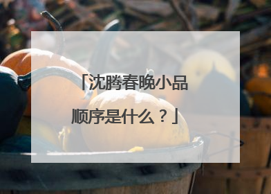 沈腾春晚小品顺序是什么？