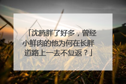 沈腾胖了好多，曾经小鲜肉的他为何在长胖道路上一去不复返？